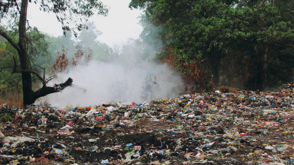 "detectamos antes el olor fétido que una fragancia agradable porque nuestro sistema olfativo está programado evolutivamente para la supervivencia".