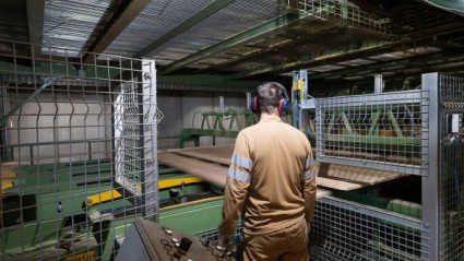 La actividad productiva en la planta de Losán en Soria está actualmente paralizada