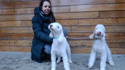 Junio y Algodón atentas a la foto