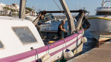 Un pescador en el puerto de Palamós (Girona)POLITICA FNCCP