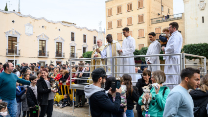 Celebración de san Antón en Valencia