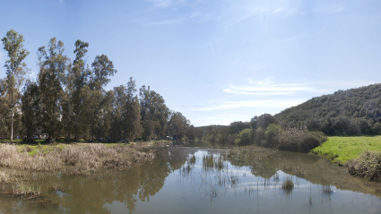 Río Valdeazogues