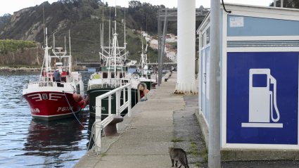 Una imagen del puerto de Luarca, con la flota amarrada