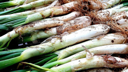 Para completar el bocadillo, se cocina una butifarra fresca también a la brasa.