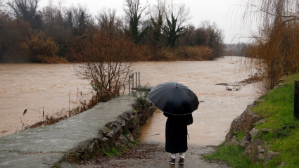 "todavía quedan unas cuantas horas de lluvia" y que "seguramente" el caudal del Onyar "crecerá todavía más".