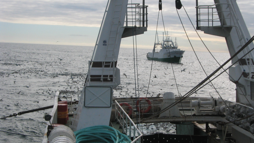 Javier Garat Secretario General de la Confederación Española de Pesca CEPESCA y Consejero del Comité Económico y Social Europeo