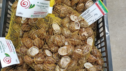 Producción de caracoles en La Rioja