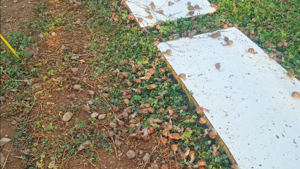 Producción de caracoles en La Rioja