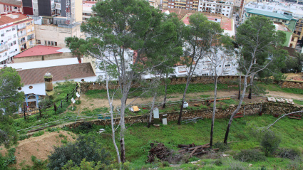 El Castillo de Dénia reabre al público parcialmente