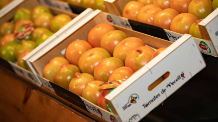 Tomates de El Perelló