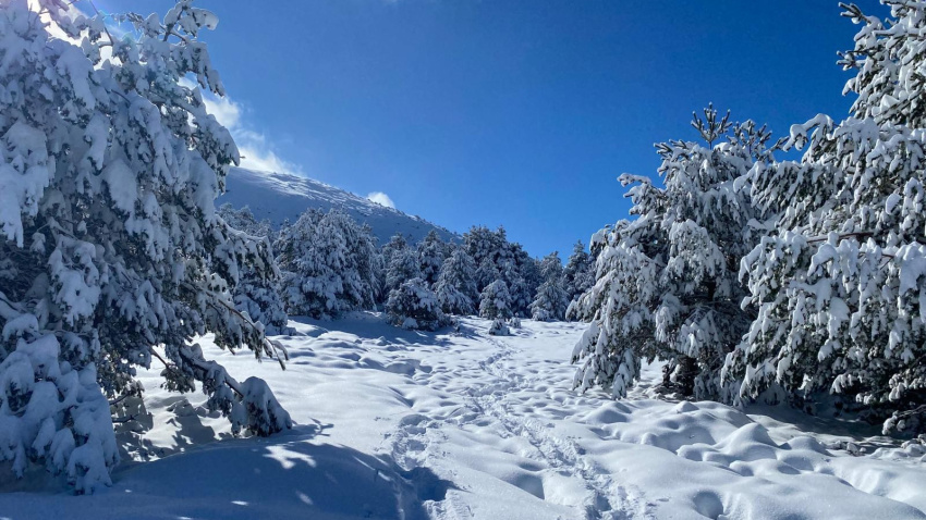Subida al Chozo de Aranjuez. La Granja de San Ildefonso (Segovia)