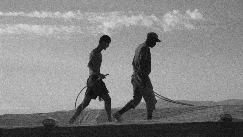 Trabajadores irregulares de invernaderos, Las Norias, Almería