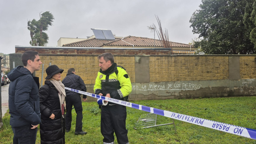 Pelayo en temporal 2