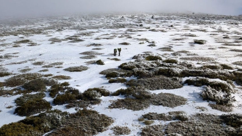 El Grupo de Rescate de la Junta de Castilla y León auxilia a un montañero en el pico Peñalara