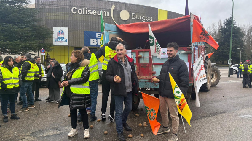 Reparto de 5.000 kilos de patatas para poner en valor su trabajo