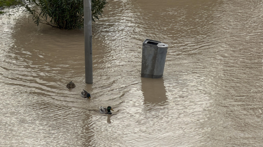 Crecida del río Guadalquivir tras el paso de la borrasca Kristin, este miércoles en Córdoba