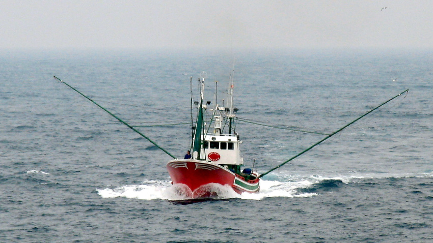 El atunero Ozentziyo pescando a cacea