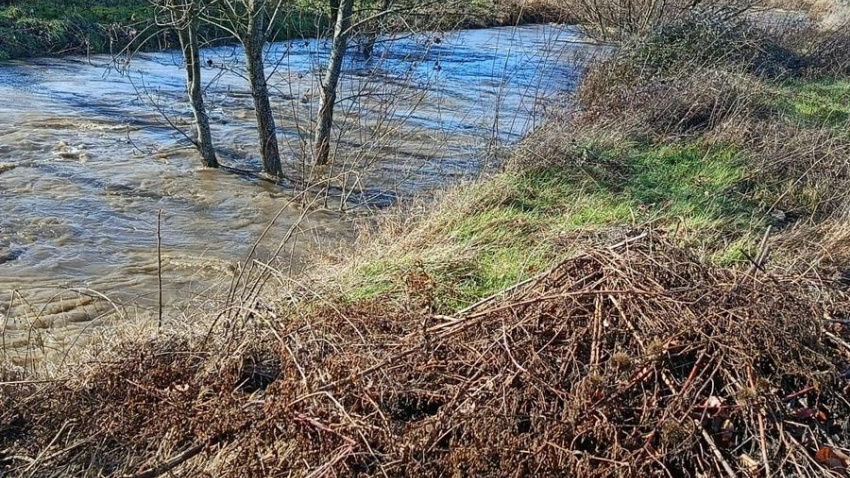 Imagen del Huebra a su paso por la provincia de Salamanca