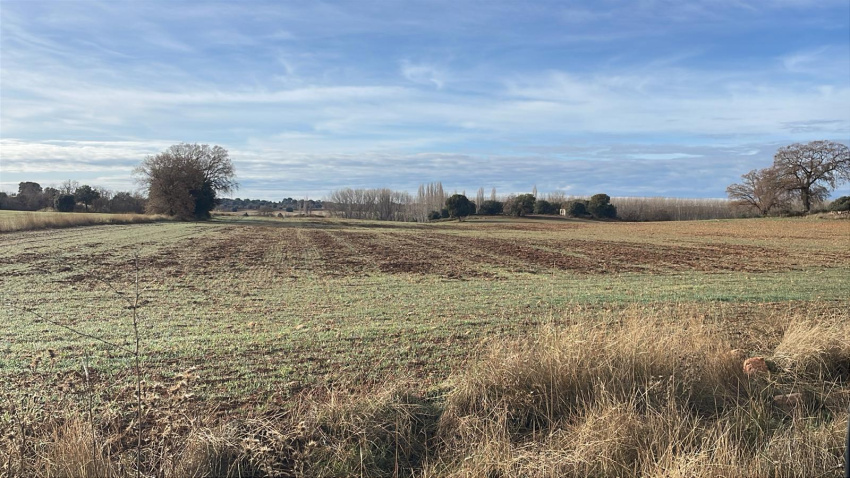 La organización agraria asegura que los ataques de estos animales se han intensificado de forma alarmante en los últimos meses