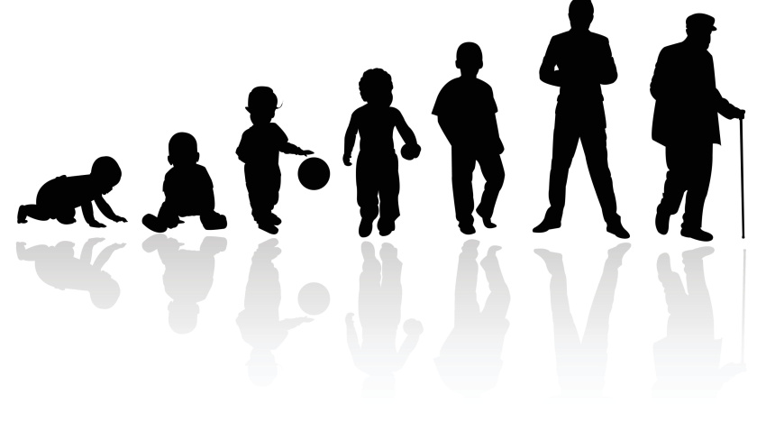 Siluetas de la evolución de la edad