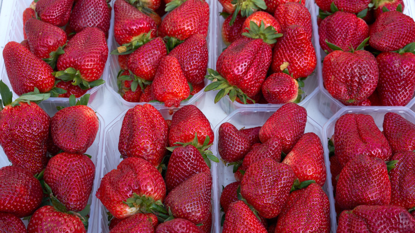 Cajas de fresas a la venta en un mercado