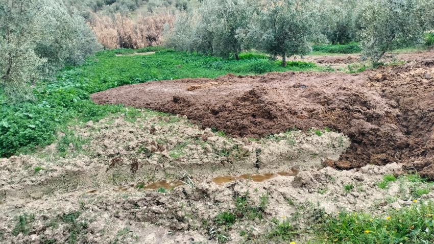 Zona afectada por el estiércol