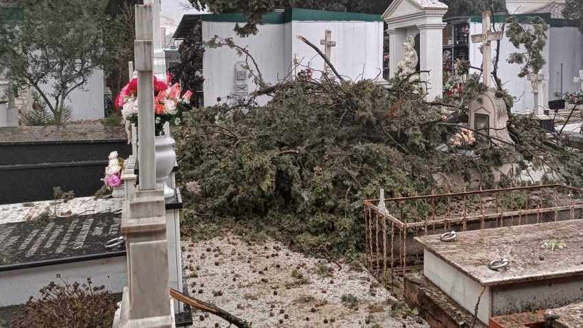 Cementerio de Priego de Córdoba