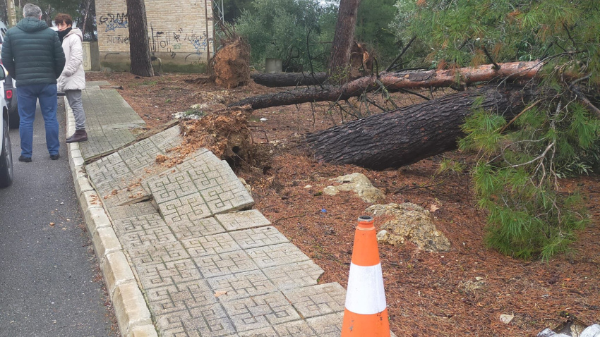Daños en Puente Genil