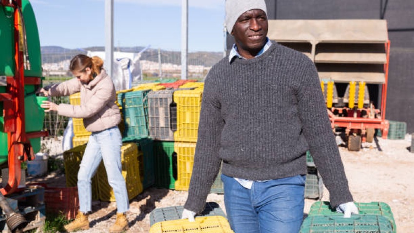 Inmigrante trabajando en el campo