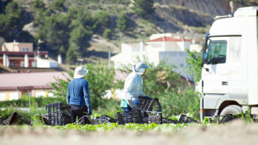 Trabajadores agrarios