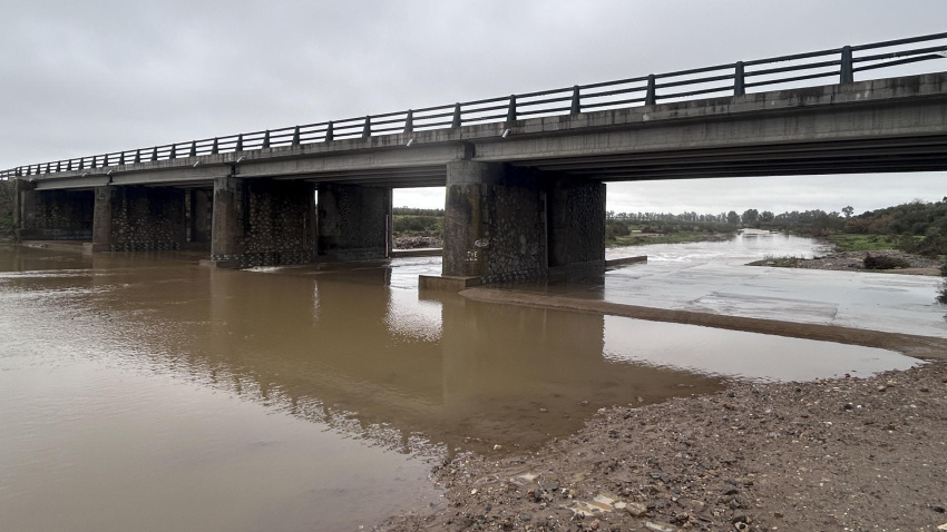 Vista del cauce del Río Guadiamar entre Gerena y Aznalcóllar (Sevilla)