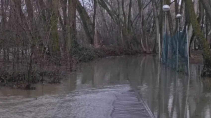 Desde primera hora de la mañana, la Policía Local ha acordonado las zonas afectadas