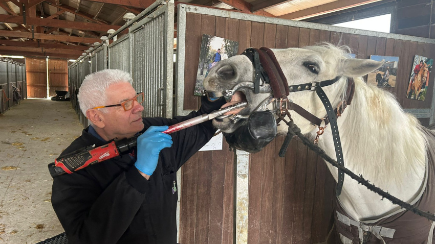 Joaquín, veterinario rural