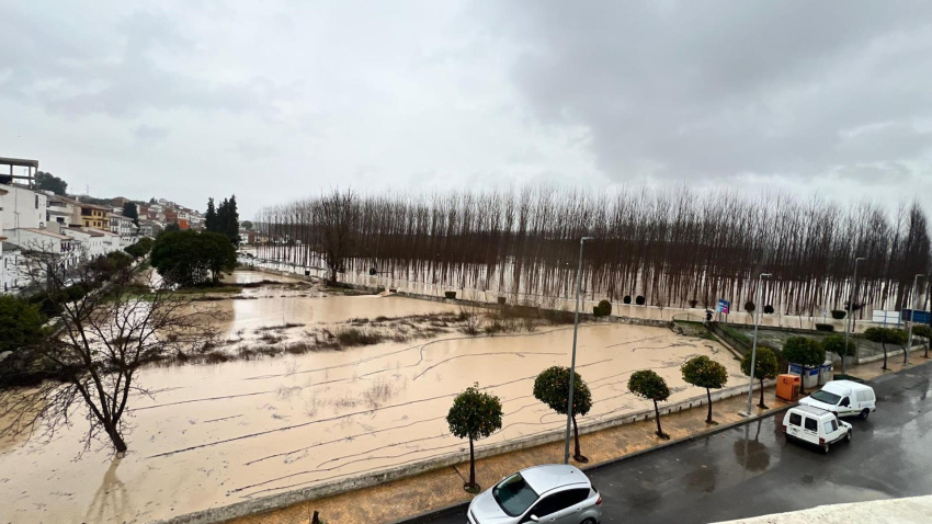 Vista de la crecida del río Genil a su paso por Villanueva Mesía