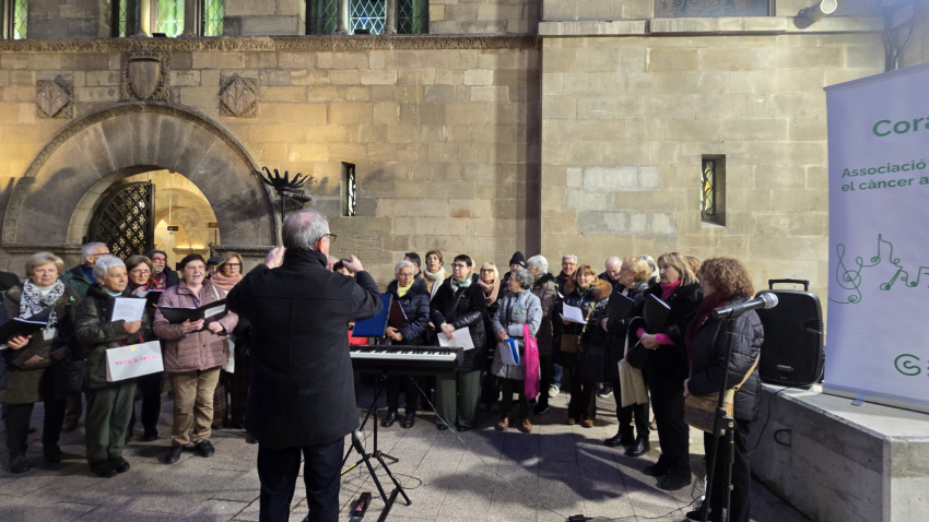 Actes del Dia Mundial contra el Càncer a Lleida