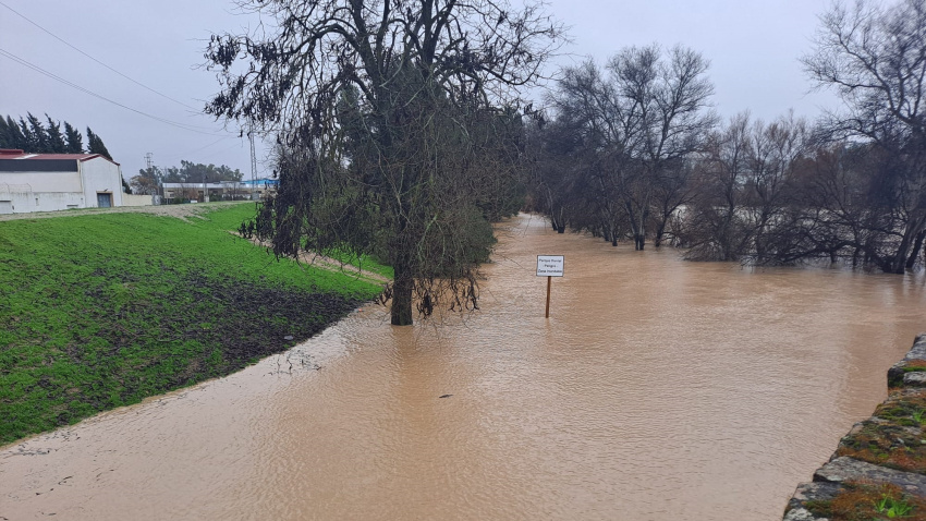 Jaén, la provincia andaluza con más incidencias por la borrasca Leonardo