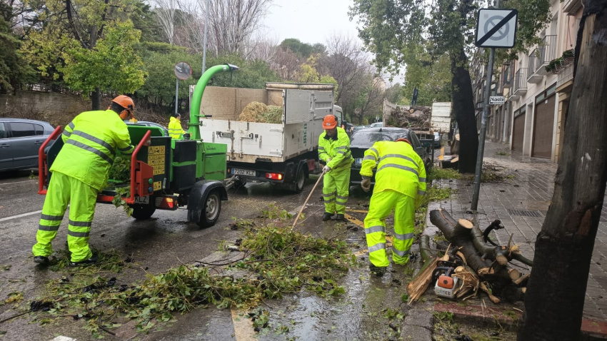 Nueve equipos de mantenimiento urbano, junto a operarios de FCC y Bomberos, trabajan en la ciudad para retirada de ramas, tala de árboles, recolocación de contenedores y limpieza de calles