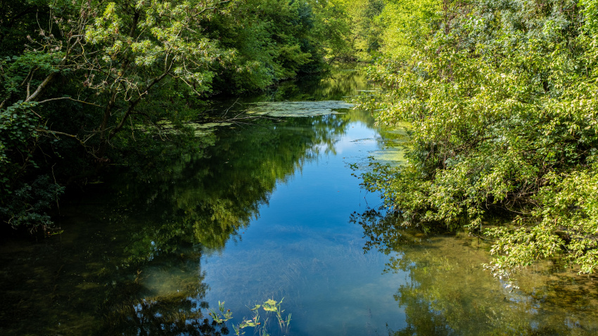 Río tranquilo bordeado de densa vegetación con el cielo reflejándose en el agua