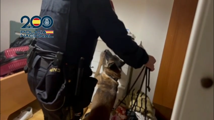 Cae en Palencia una red que explotaba a migrantes con jornadas de 17 horas en obradores de pan