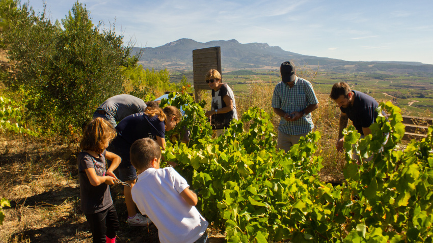 Los turistas estarán obligados a pagar una tasa que recaudarán los ayuntamientos