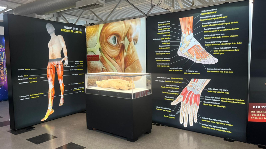 Exposición Valladolid