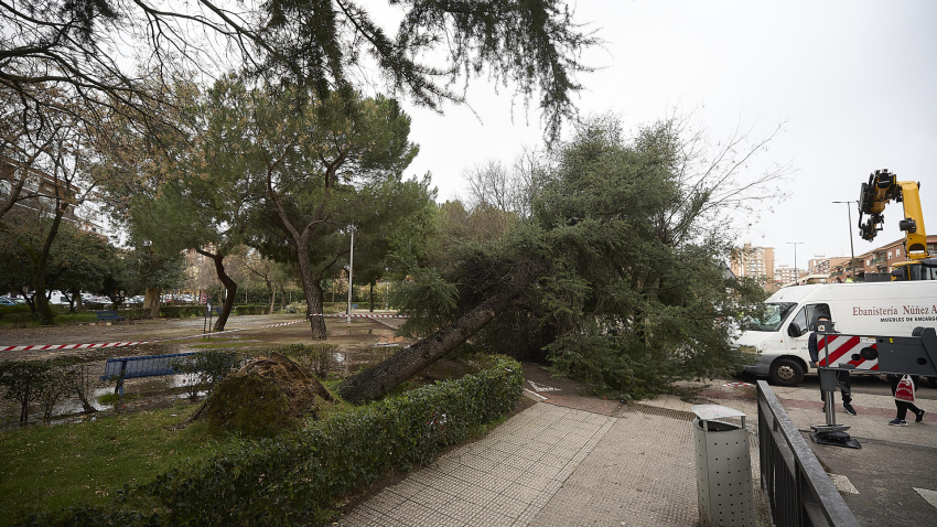 Efectos de la borrasca Leonardo a su paso por Talavera de la Reina