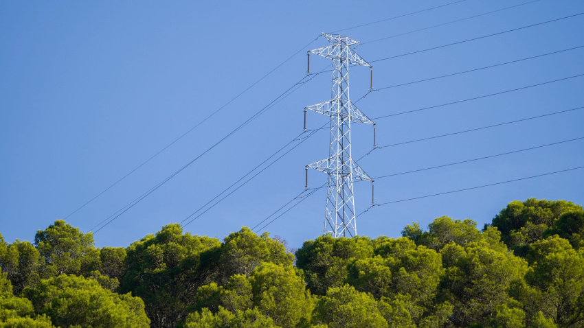 Poste eléctrico con cables, tras un bosque. España