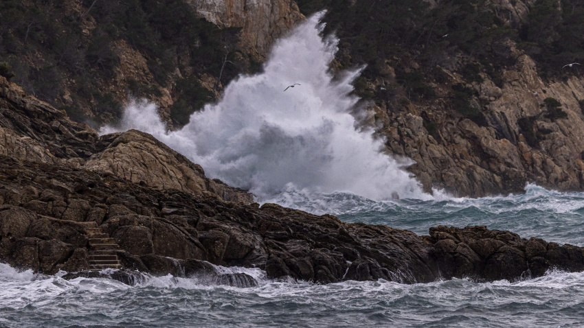 Fuertes olas en Sant Elm donde se mantiene activada la alerta naranja por fenómenos costeros en Mallorca