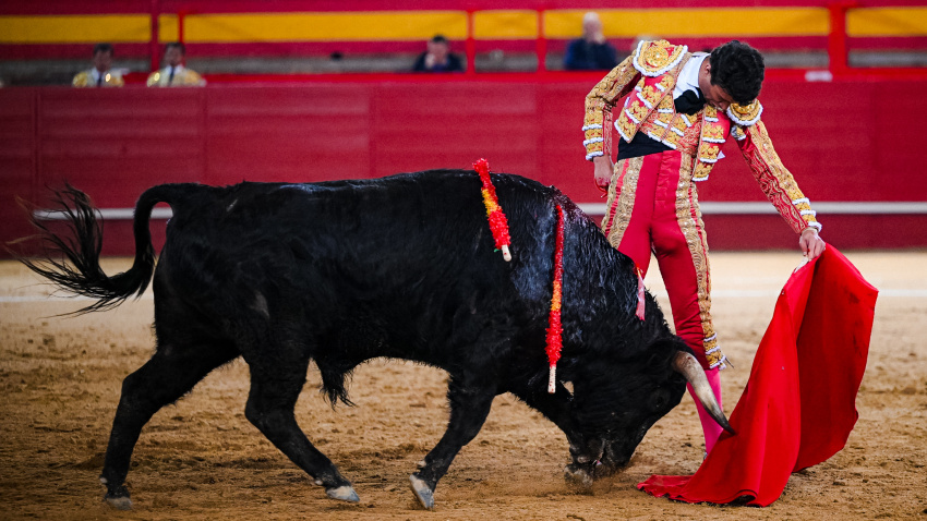 Natural de Samuel Castrejón al sexto novillo de Jiménez Pasquau