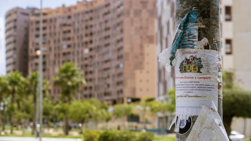 Detalle de un cartel pegado en una farola en la zona universitaria de Teatinos Málaga, ofreciendo habitación para estudiantes