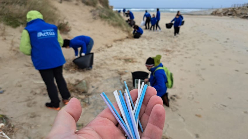 Bastoncillos recogidos en la limpieza en Baldaio-Razo (A Coruña)
