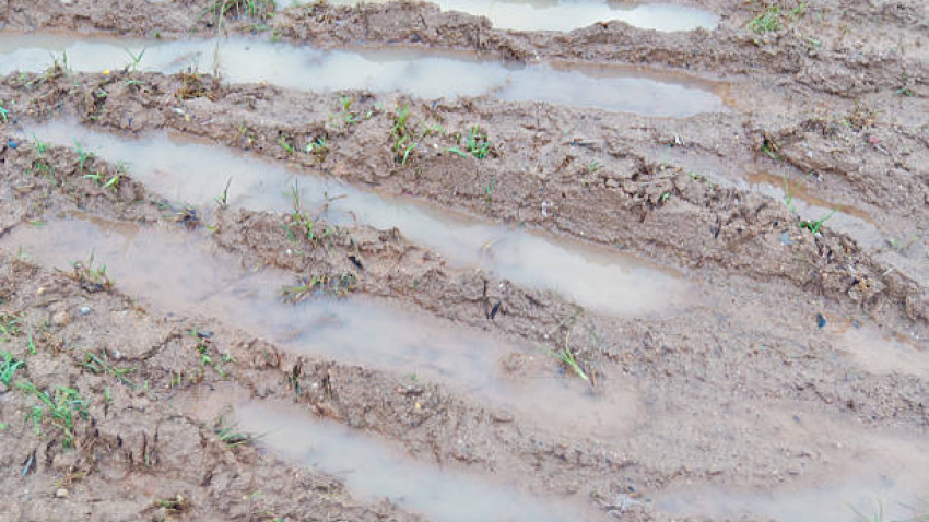 Parcelas encharcadas