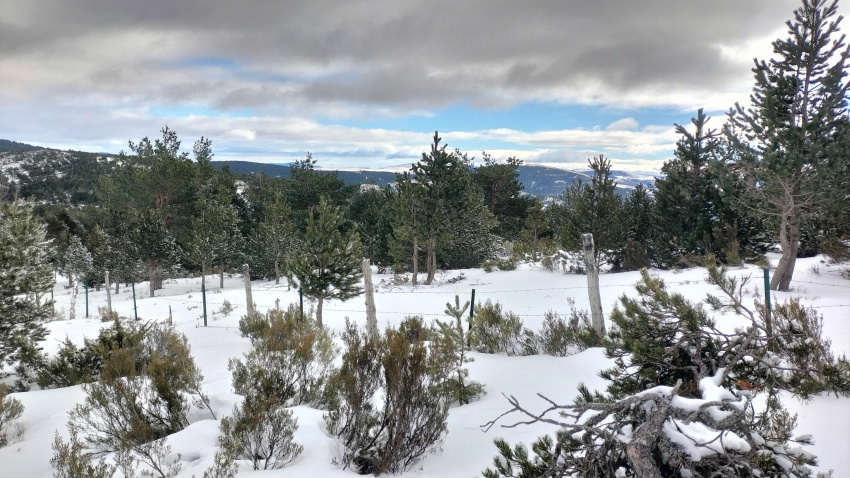 El tiempo en La Rioja pasa del invierno al “casi primavera” en cuestión de horas