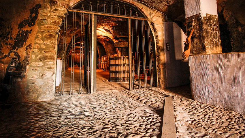 Visitas que sorprenden en Quel